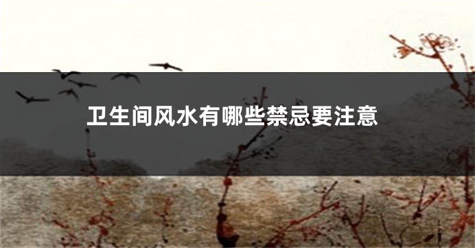 卫生间风水有哪些禁忌要注意