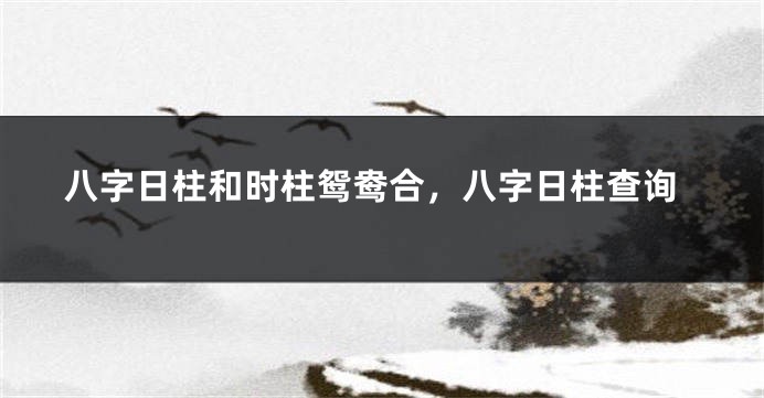 八字日柱和时柱鸳鸯合，八字日柱查询