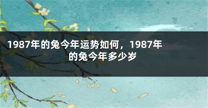1987年的兔今年运势如何，1987年的兔今年多少岁