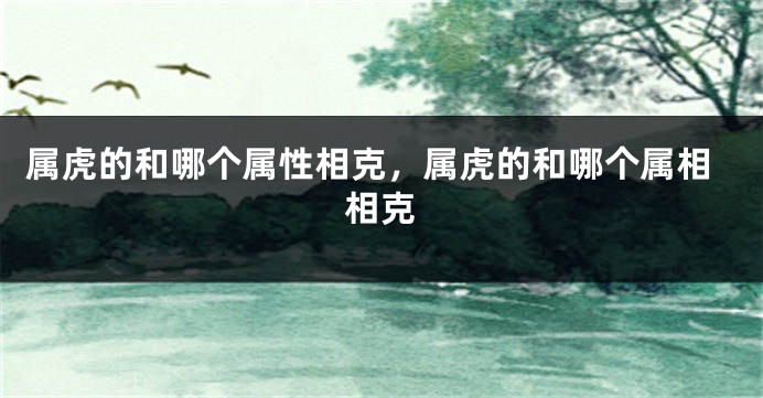 属虎的和哪个属性相克，属虎的和哪个属相相克