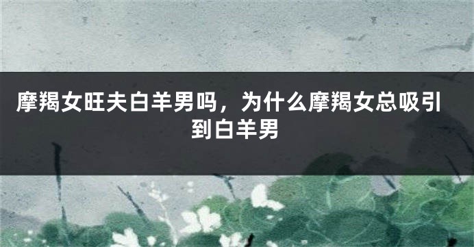 摩羯女旺夫白羊男吗，为什么摩羯女总吸引到白羊男