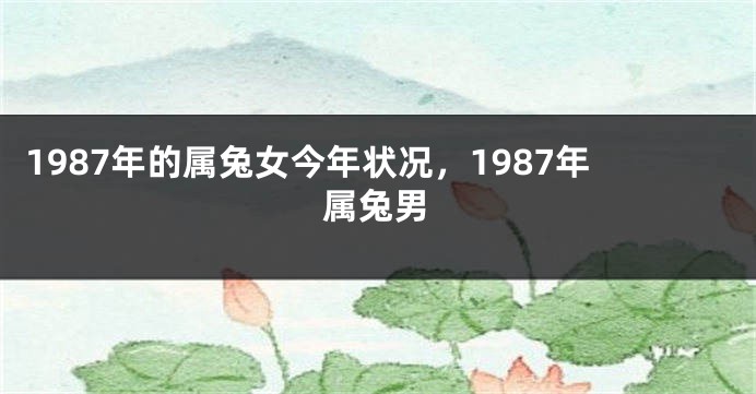 1987年的属兔女今年状况，1987年属兔男
