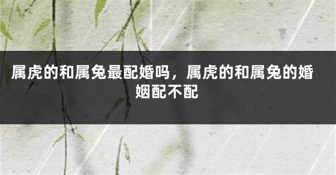 属虎的和属兔最配婚吗，属虎的和属兔的婚姻配不配