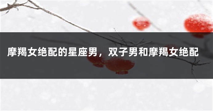 摩羯女绝配的星座男，双子男和摩羯女绝配