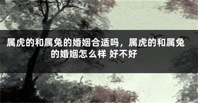 属虎的和属兔的婚姻合适吗，属虎的和属兔的婚姻怎么样 好不好