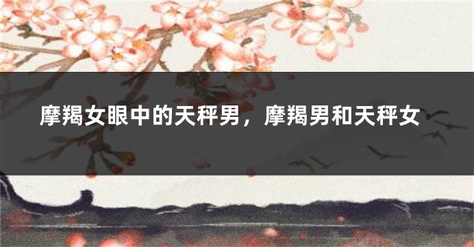 摩羯女眼中的天秤男，摩羯男和天秤女