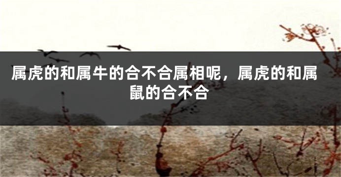 属虎的和属牛的合不合属相呢，属虎的和属鼠的合不合