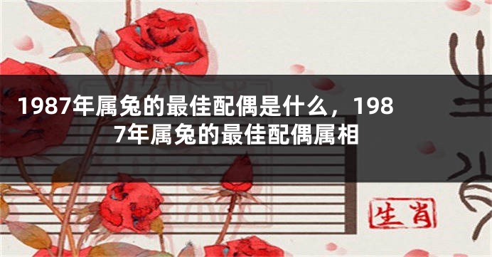 1987年属兔的最佳配偶是什么，1987年属兔的最佳配偶属相
