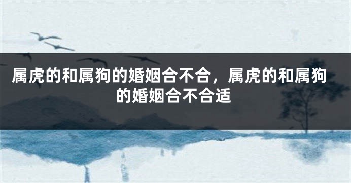 属虎的和属狗的婚姻合不合，属虎的和属狗的婚姻合不合适