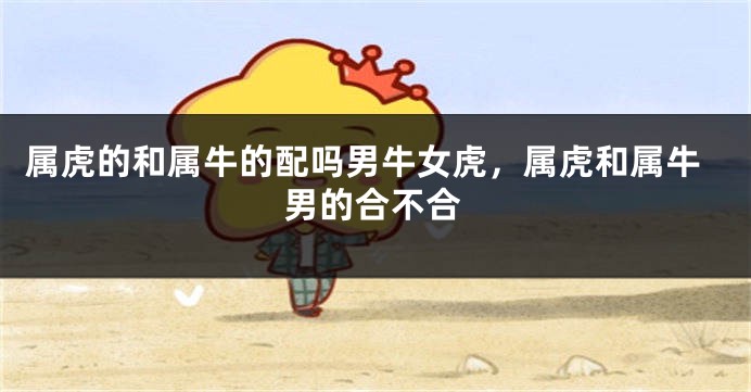 属虎的和属牛的配吗男牛女虎，属虎和属牛男的合不合
