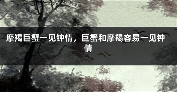 摩羯巨蟹一见钟情，巨蟹和摩羯容易一见钟情