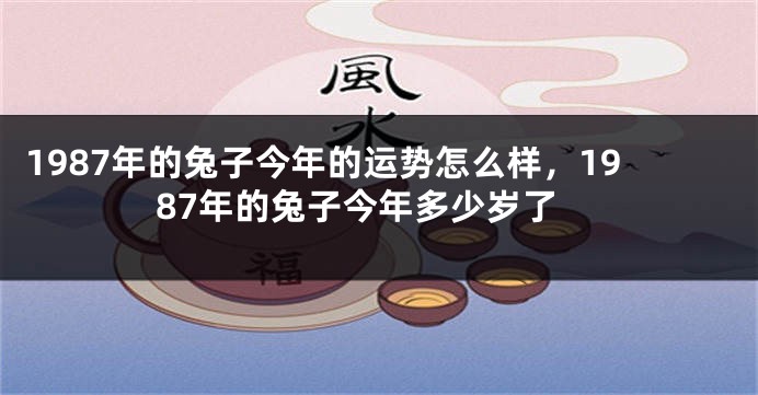 1987年的兔子今年的运势怎么样，1987年的兔子今年多少岁了