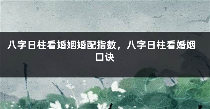 八字日柱看婚姻婚配指数，八字日柱看婚姻口诀
