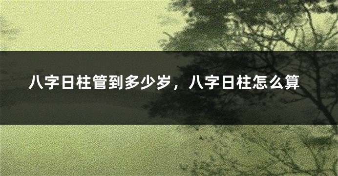 八字日柱管到多少岁，八字日柱怎么算