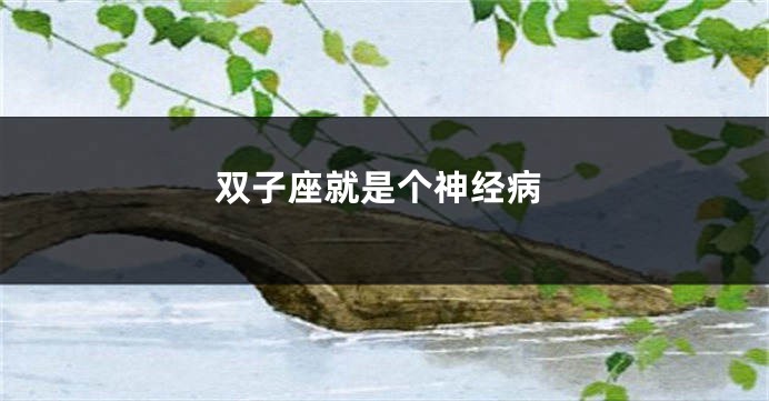 双子座就是个神经病