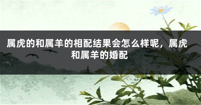属虎的和属羊的相配结果会怎么样呢，属虎和属羊的婚配