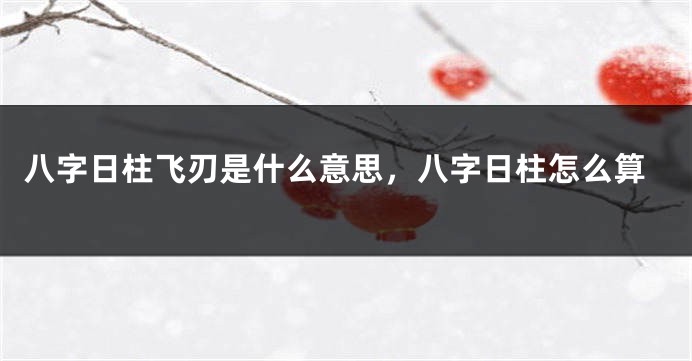 八字日柱飞刃是什么意思，八字日柱怎么算