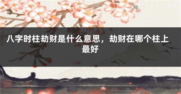 八字时柱劫财是什么意思，劫财在哪个柱上最好
