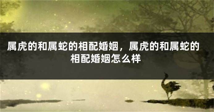 属虎的和属蛇的相配婚姻，属虎的和属蛇的相配婚姻怎么样