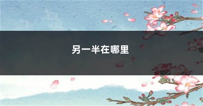 另一半在哪里