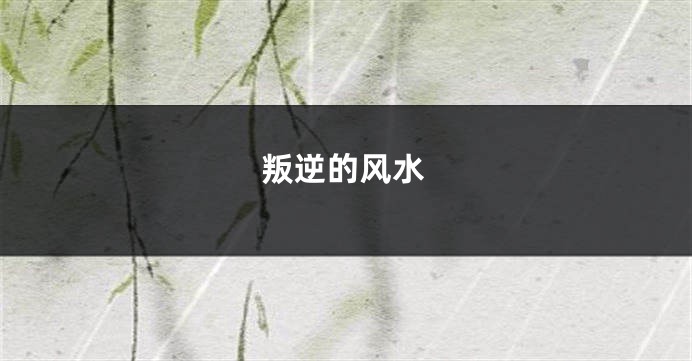叛逆的风水
