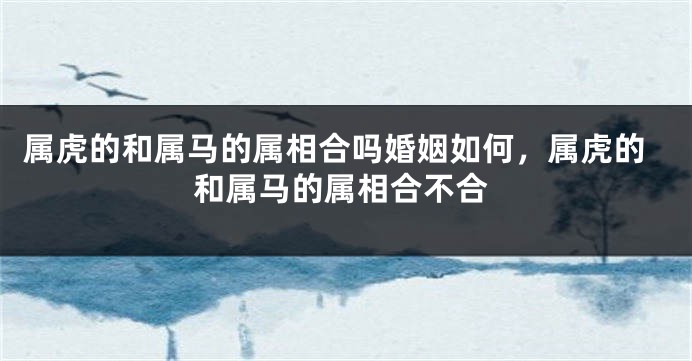 属虎的和属马的属相合吗婚姻如何，属虎的和属马的属相合不合