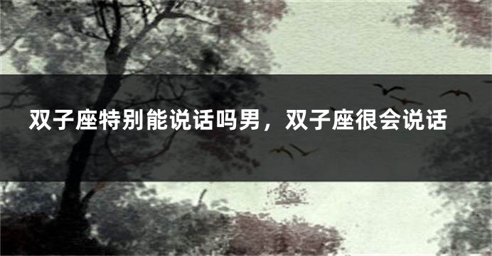 双子座特别能说话吗男，双子座很会说话
