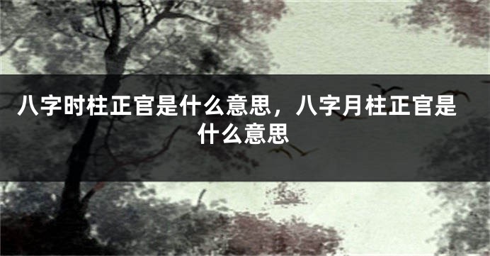 八字时柱正官是什么意思，八字月柱正官是什么意思