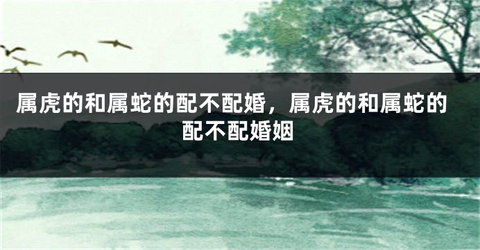属虎的和属蛇的配不配婚,属虎的和属蛇的配不配婚姻
