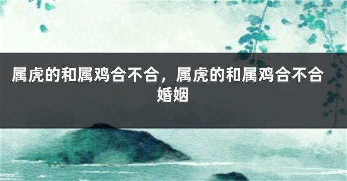 属虎的和属鸡合不合,属虎的和属鸡合不合婚姻