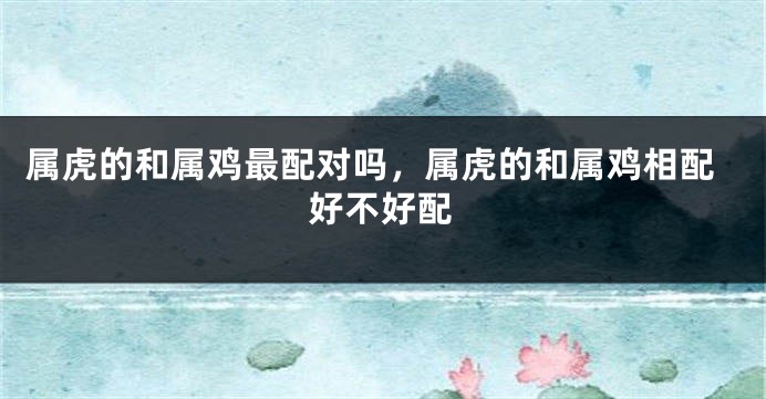 属虎的和属鸡最配对吗，属虎的和属鸡相配好不好配