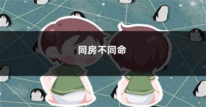 同房不同命