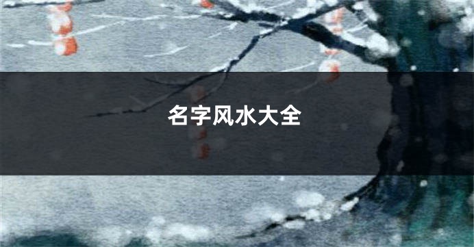 名字风水大全