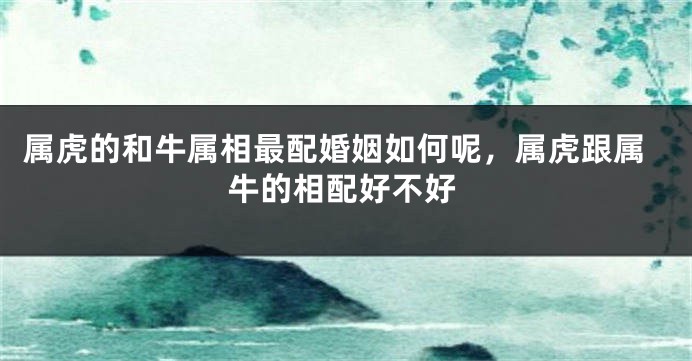 属虎的和牛属相最配婚姻如何呢，属虎跟属牛的相配好不好