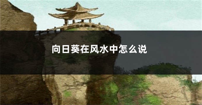 向日葵在风水中怎么说