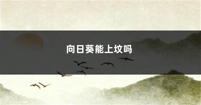 向日葵能上坟吗