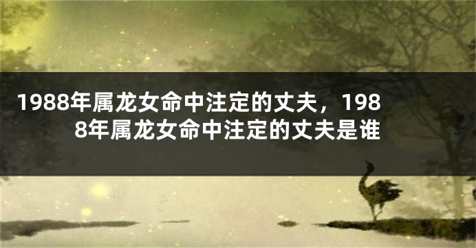 1988年属龙女命中注定的丈夫，1988年属龙女命中注定的丈夫是谁