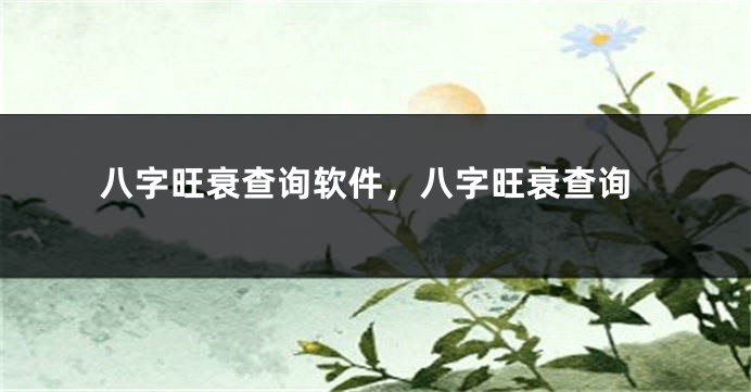 八字旺衰查询软件，八字旺衰查询