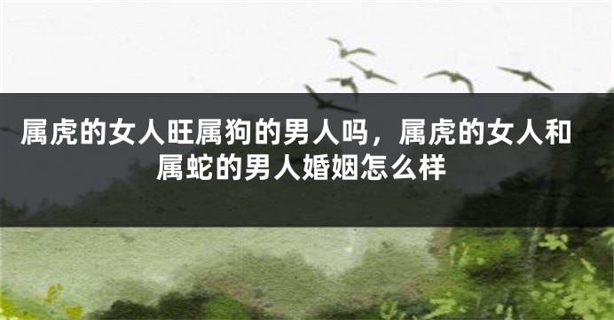 属虎的女人旺属狗的男人吗，属虎的女人和属蛇的男人婚姻怎么样
