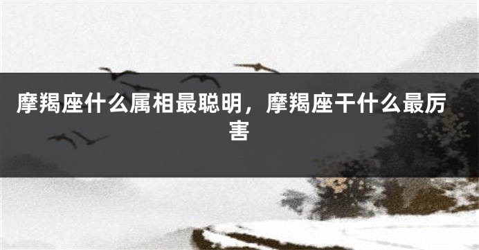 摩羯座什么属相最聪明，摩羯座干什么最厉害