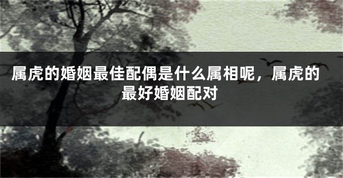 属虎的婚姻最佳配偶是什么属相呢，属虎的最好婚姻配对