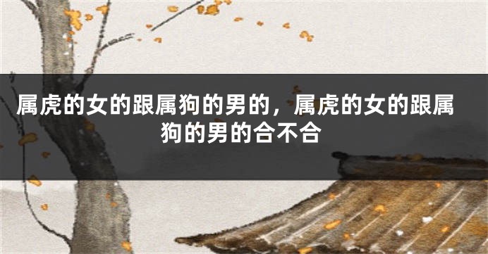 属虎的女的跟属狗的男的，属虎的女的跟属狗的男的合不合