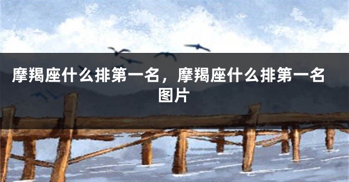 摩羯座什么排第一名，摩羯座什么排第一名图片