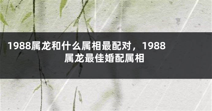 1988属龙和什么属相最配对，1988属龙最佳婚配属相