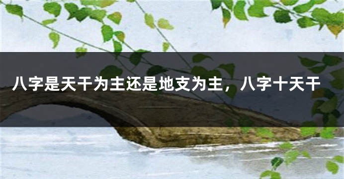 八字是天干为主还是地支为主，八字十天干