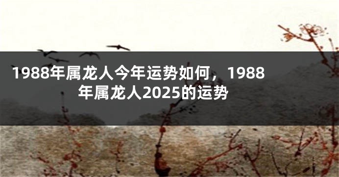 1988年属龙人今年运势如何，1988年属龙人2025的运势