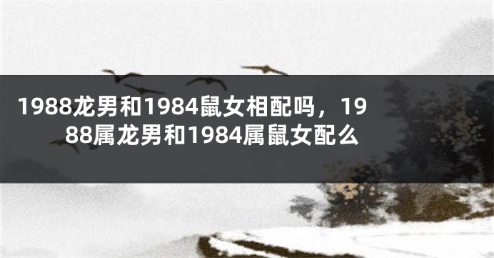 1988龙男和1984鼠女相配吗，1988属龙男和1984属鼠女配么