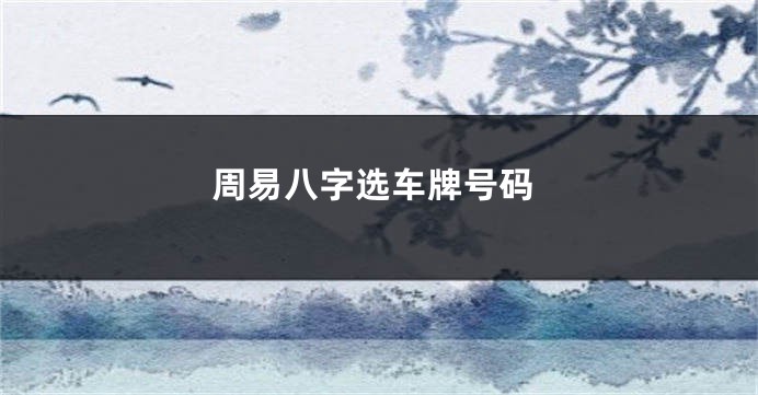 周易八字选车牌号码