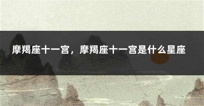 摩羯座十一宫，摩羯座十一宫是什么星座