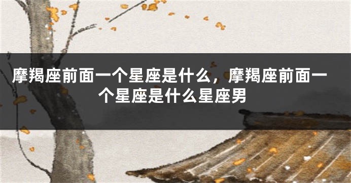 摩羯座前面一个星座是什么，摩羯座前面一个星座是什么星座男